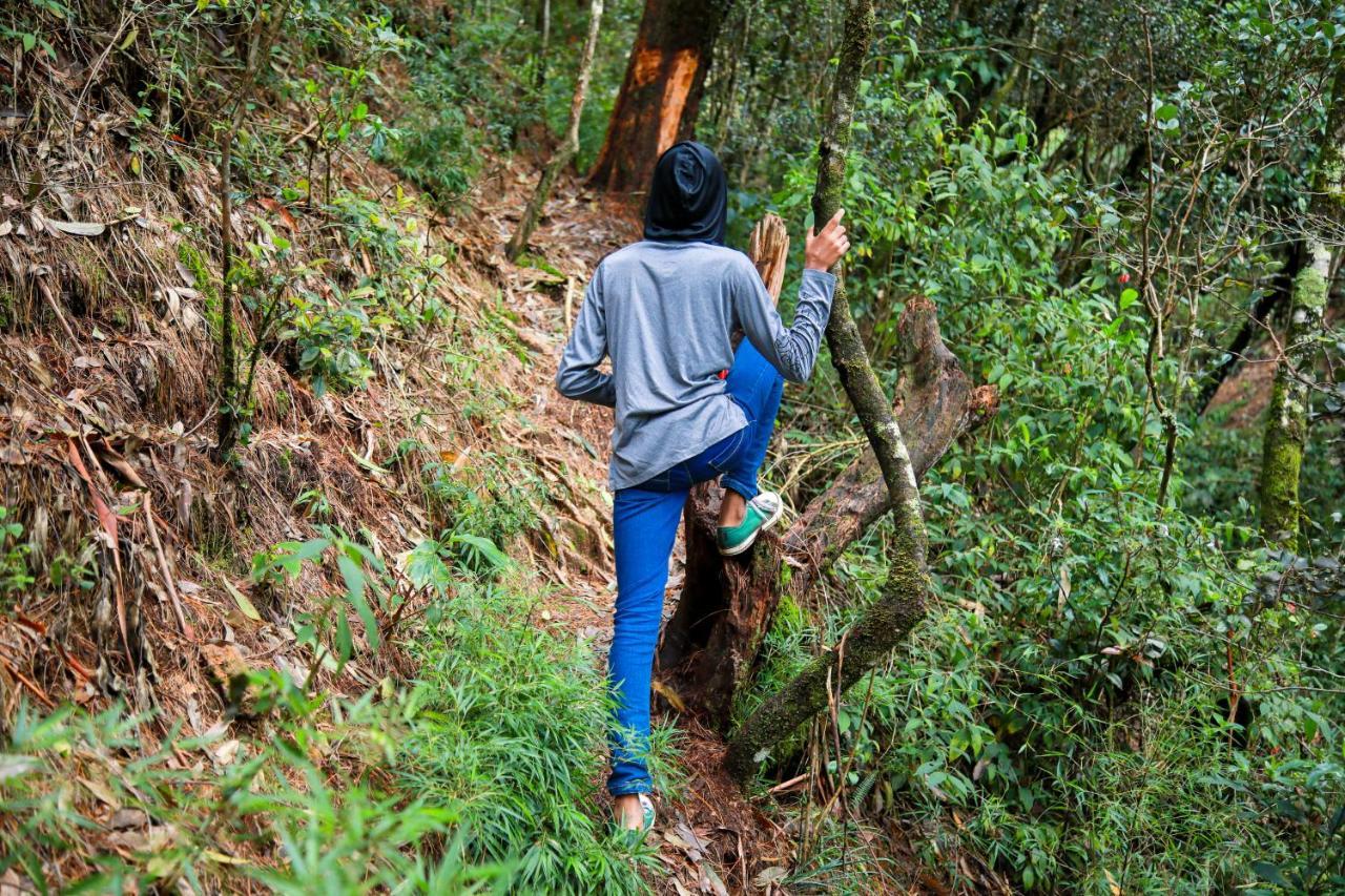 Notre Dame D'Arcadia Hotel Nuwara Eliya Bagian luar foto