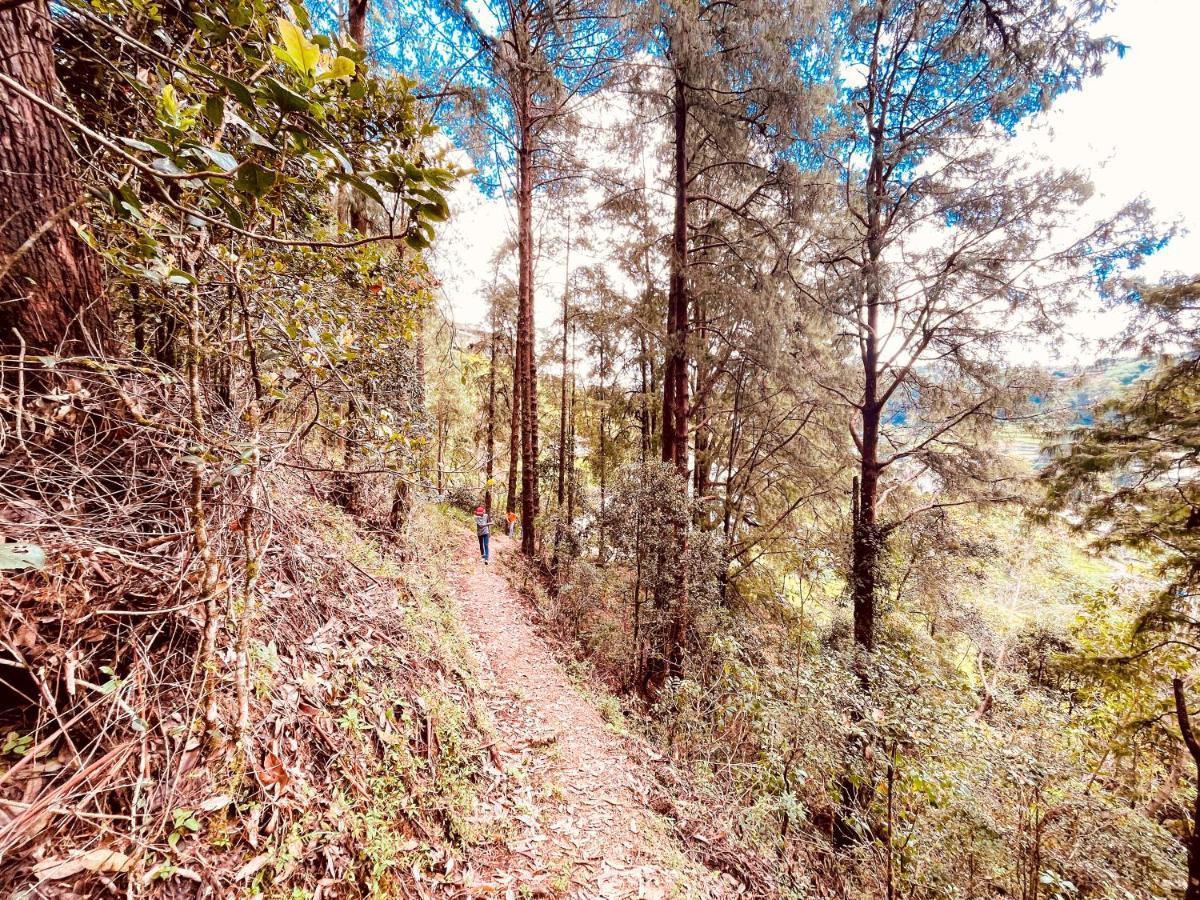 Notre Dame D'Arcadia Hotel Nuwara Eliya Bagian luar foto
