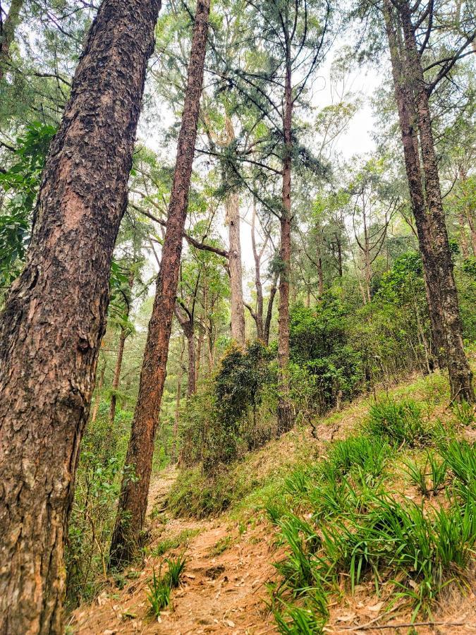Notre Dame D'Arcadia Hotel Nuwara Eliya Bagian luar foto