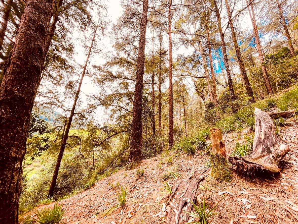 Notre Dame D'Arcadia Hotel Nuwara Eliya Bagian luar foto